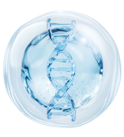 l drug deco copyright