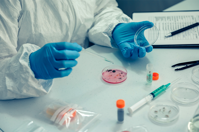 Histopathology & Toxicologic Pathology