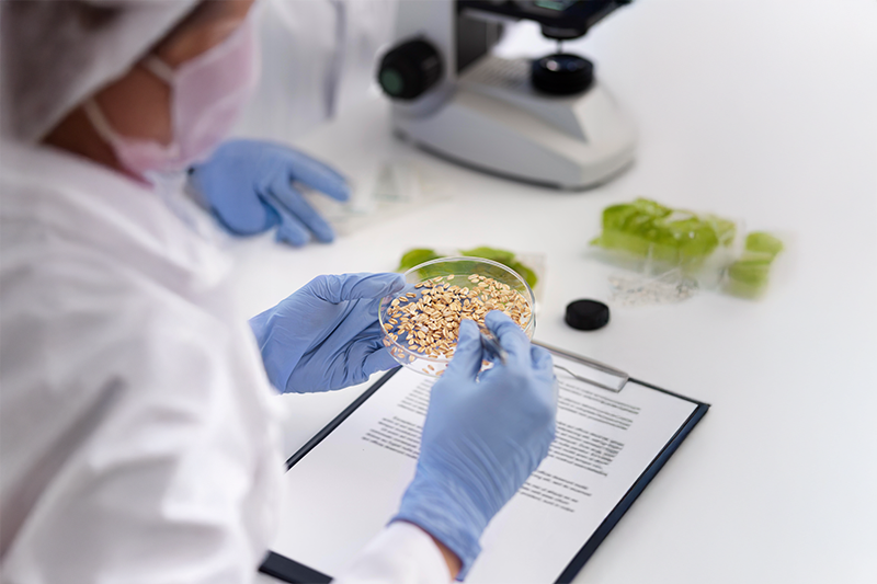 Novel Food & Dietary Ingredient Submissions