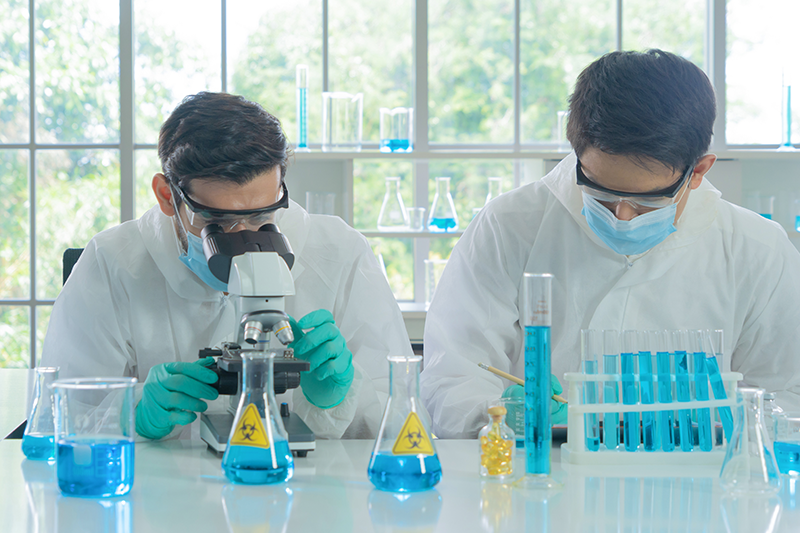 PK/PD Studies & Modelling