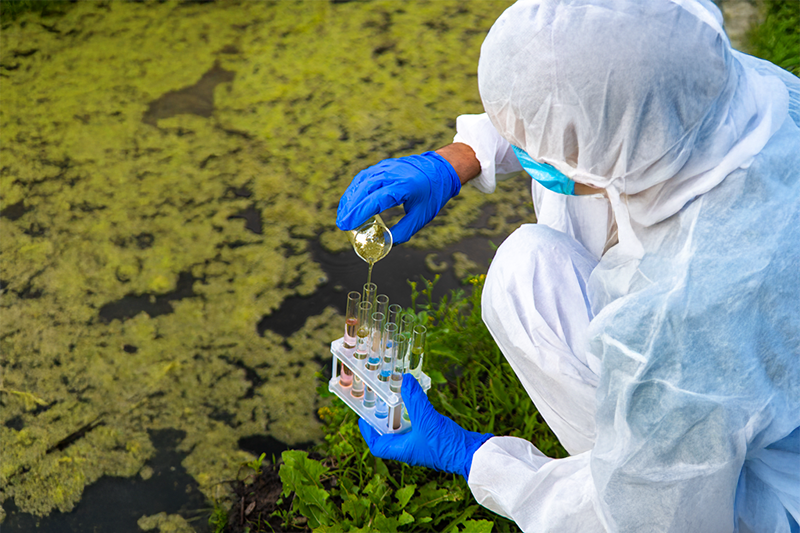 Physicochemical Property Testing