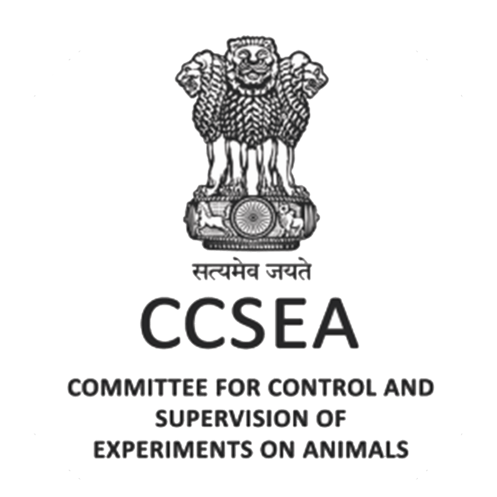 ccsea logo