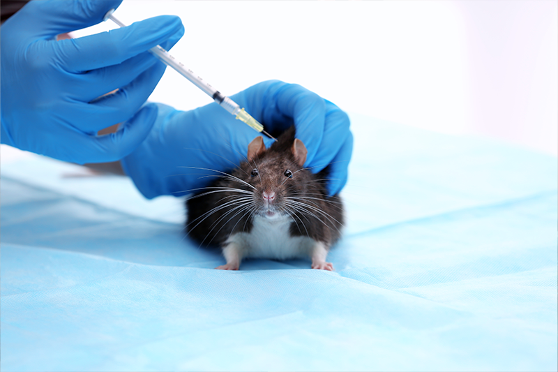 Irritation & Sensitisation (ISO 10993-10 & USP)