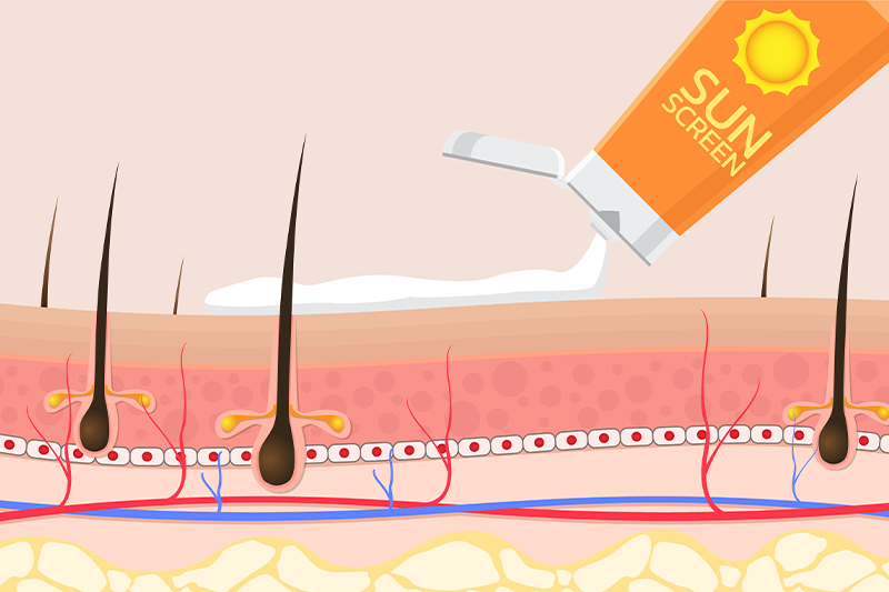 Skin Safety & Sensitisation Studies